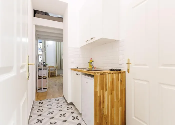 Apartment Miniments Loft-studios In Josefstadt