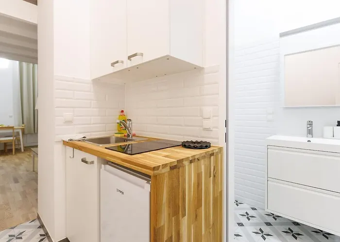 Miniments Loft-studios In Josefstadt *